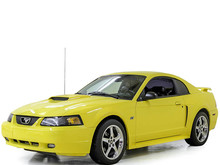 Mustang (IV)