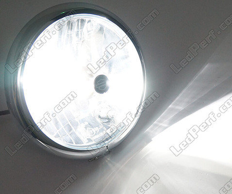 Lâmpada 9005 (HB3) LED moto   ajustável - Iluminação Branco puro