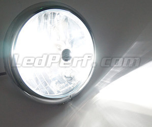Lâmpada H4 LED moto   ajustável - Iluminação Branco puro