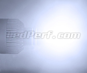Prestação H7 LED para veículos VW Audi Skoda Seat Porsche e Mercedes