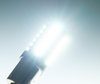 Iluminação Lâmpada 1156 - 7506 - P21W LED BA15S Ultimate Ultra Potente