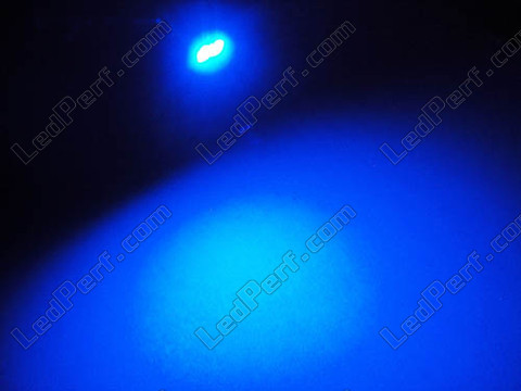LED T5 37 74 Efficacity W1.2W a 2 LED Azuis
