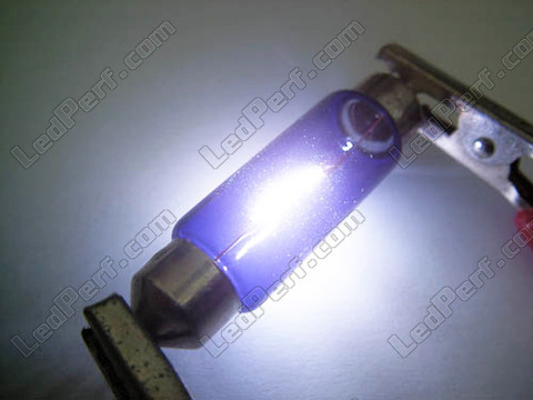 Lâmpada 42mm - 578 - 6411 C10W Halogéneo Blue vision Xénon Efeito LED