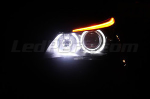 LEDs brancos xénon para Angel eyes BMW Série 5 E60 E61 6000K