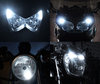 LED Luzes de presença (mínimos) branco xénon Harley-Davidson Custom 1200 (2000 - 2010) Tuning