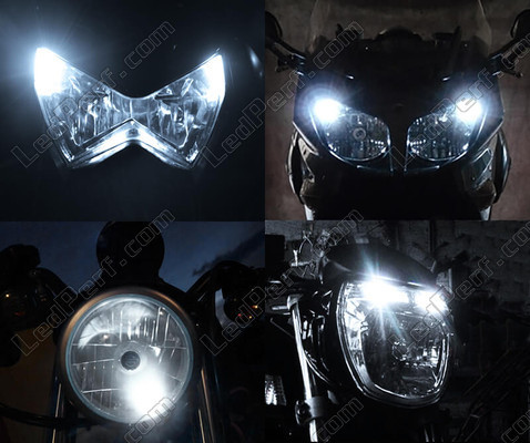 LED Luzes de presença (mínimos) branco xénon Harley-Davidson Roadster 1200 Tuning