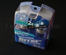 Pack de 2 lâmpadas H10 - 9140 - 9145 MTEC Cosmos Blue - Branco xénon