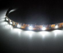 Banda flexível standard de 1 metro (60 LEDs cms) branco