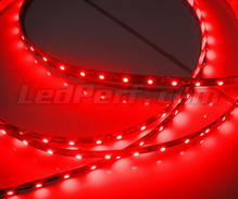 Banda flexível 24V de 1 metro (60 LEDs cms) vermelho