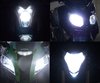 Pack lâmpadas de faróis Xénon Efeito para Kawasaki Ninja 650