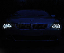 Pack Angel Eyes de LEDs para BMW Serie 6 (E63 E64) 1º fase - Com Xénon de fábrica - Standard